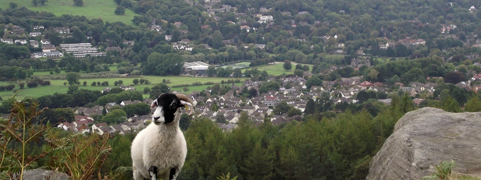 Belvoir