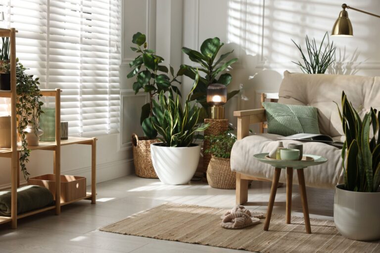 Bright modern living room interior in a stylish Guiseley family home with natural light and indoor plants